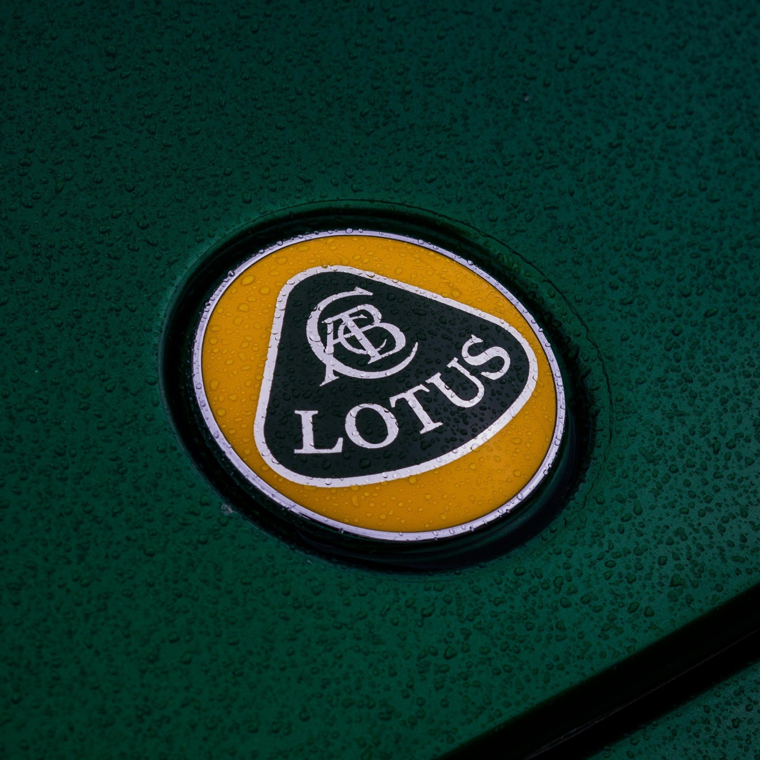 Lotus